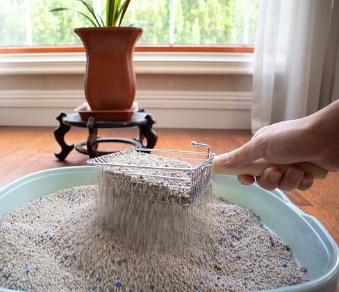 مغرفة فضلات القطط من إل دي دوج، مغرفة فضلات القطط المعدنية، مجرفة عميقة، مقبض خشبي، صندوق فضلات سريع الغربلة للقطط والقطط الصغيرة (فضي) in Kuwait