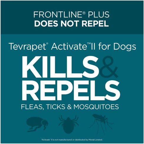 TevraPet Activate II Flea and Tick Prevention for Dogs | Medium Dogs 11-20 lbs | Fast Acting Flea Drops | 8 Month Supply | Vet Quality Protection in Kuwait