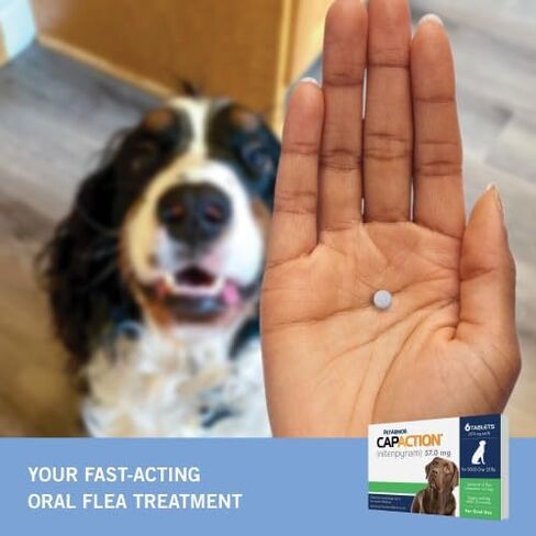PetArmor CAPACTION (nitenpyram) Oral Flea Treatment for Dogs, Fast Acting Tablets Start Killing Fleas in 30 Minutes, Dogs Over 25 lbs, 6 Doses (Pack of 1) (Packaging May Vary) in Saudi Arabia