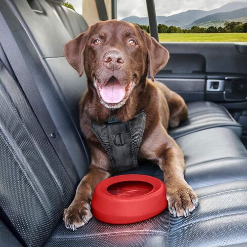 Kurgo Splash Free Wander Water Bowl, No Spill Dog Travel Bowl, Portable No Mess Bowl for Dogs, Splash Less Car Bowl for Pets, Car Accessories, 24 ounces (Coastal Blue) in Saudi Arabia