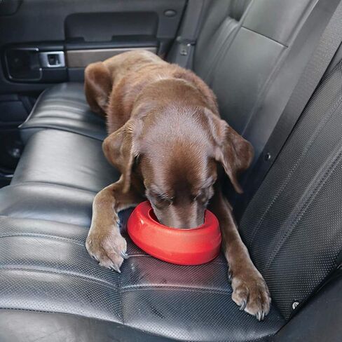 Kurgo Splash Free Wander Water Bowl, No Spill Dog Travel Bowl, Portable No Mess Bowl for Dogs, Splash Less Car Bowl for Pets, Car Accessories, 24 ounces (Coastal Blue) in Saudi Arabia