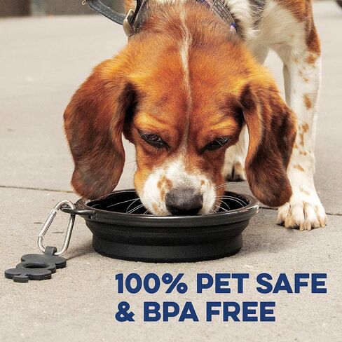 Bonza Collapsible Dog Bowl Large 33 oz, Silicone Travel Bowl, Moss Green in Kuwait