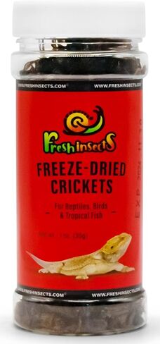 Freeze Dried Crickets 1.0 oz in Kuwait