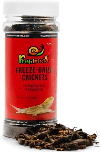 Freeze Dried Crickets 1.0 oz in Kuwait