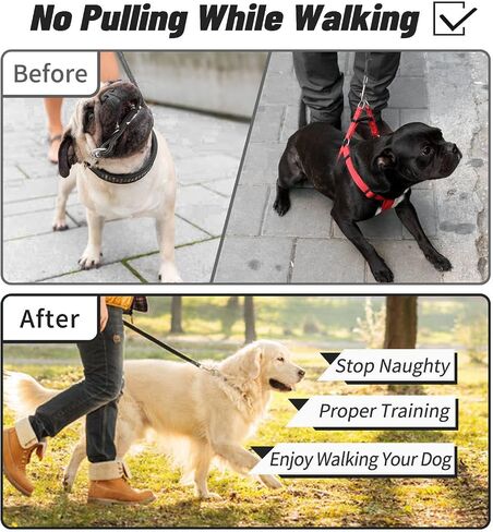 Dog Prong Training Collar, Dog Choke Pinch Collar with Comfort Tips and Quick Release Snap Buckle for Small Medium Large Dogs (Packed with 8 Extra Tips) in Saudi Arabia