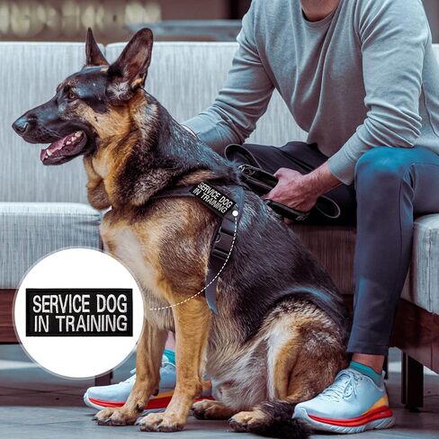 6 PCS Service Dog Patch Ask to Do Not Pet Patch Removable Service Dog Vest Patches in Training Dog Patches for Dog Harness Vest Collar Classic Patterns 3.5 X 1.6 Inch in Kuwait