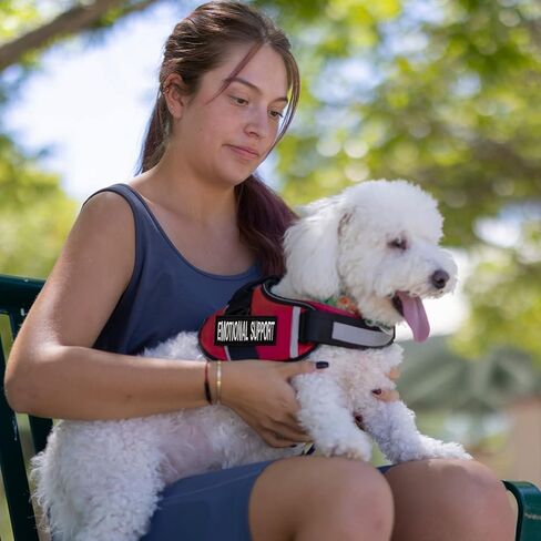 6 PCS Service Dog Patch Ask to Do Not Pet Patch Removable Service Dog Vest Patches in Training Dog Patches for Dog Harness Vest Collar Classic Patterns 3.5 X 1.6 Inch in Kuwait