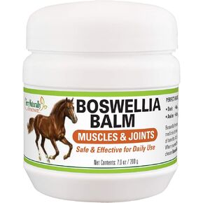 تيري بلسم صحة الحيوان الطبيعي Boswellia - 7 أوقية. - دعم العضلات والمفاصل للخيول - آمن وفعال للاستخدام اليومي - للخيول فقط - تم اختباره معمليًا في الولايات المتحدة الأمريكية in Kuwait
