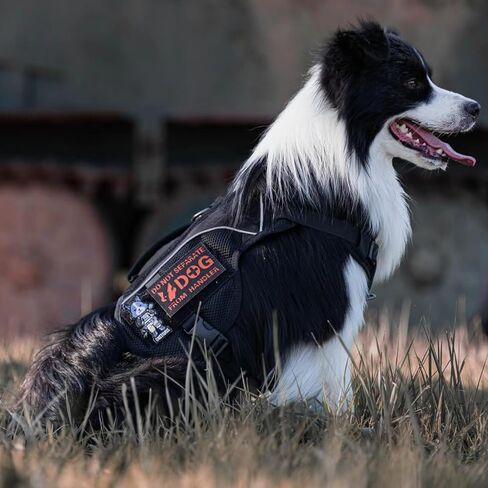 OneTigris No Pull Tactical Dog Harness for Small Medium Dogs, Double Layer Mesh Durable Service Dog Vest Harness COMET'S Tail Training Breathable with Handle in Saudi Arabia