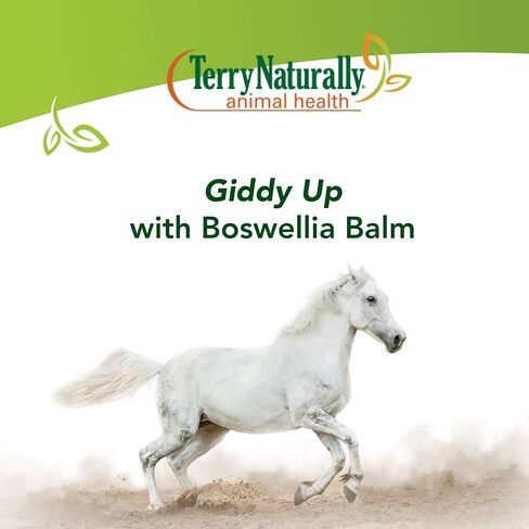 تيري بلسم صحة الحيوان الطبيعي Boswellia - 7 أوقية. - دعم العضلات والمفاصل للخيول - آمن وفعال للاستخدام اليومي - للخيول فقط - تم اختباره معمليًا في الولايات المتحدة الأمريكية in Kuwait