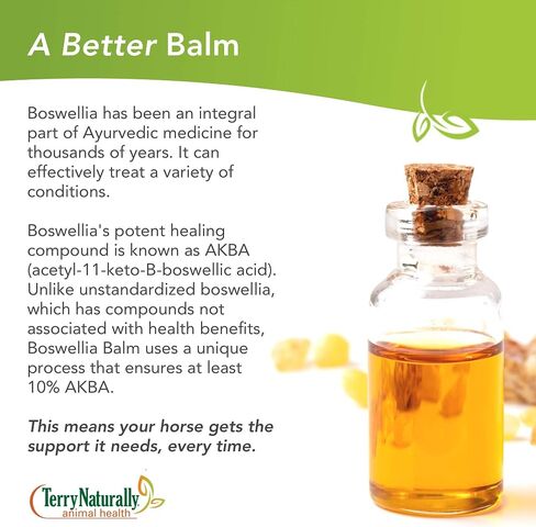 تيري بلسم صحة الحيوان الطبيعي Boswellia - 7 أوقية. - دعم العضلات والمفاصل للخيول - آمن وفعال للاستخدام اليومي - للخيول فقط - تم اختباره معمليًا في الولايات المتحدة الأمريكية in Kuwait