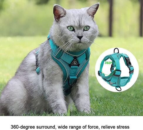 مجموعة سرج ومقود القطط من أموجاتو - سترة أمان للقطط أثناء المشي في الهواء الطلق، سترة كيتي ناعمة قابلة للتعديل، مع شريط عاكس للقطط، مقاس M، أخضر in Kuwait