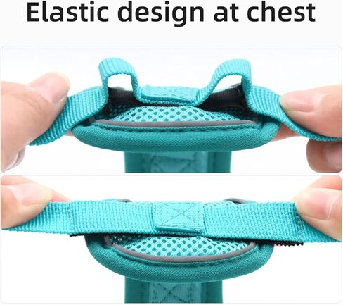 مجموعة سرج ومقود القطط من أموجاتو - سترة أمان للقطط أثناء المشي في الهواء الطلق، سترة كيتي ناعمة قابلة للتعديل، مع شريط عاكس للقطط، مقاس M، أخضر in Kuwait