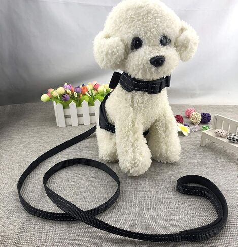 2pcs Bow Ties Bling Cute Dog Harness with Lead for Dog - Pink - XL in Kuwait