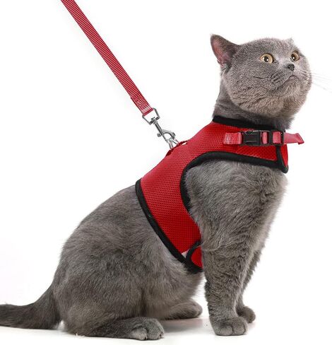 PUPTECK Soft Mesh Cat Vest Harness and Leash Set Puppy Padded Pet Harnesses Escape Proof for Cats Small Dogs Rabbits Bunny(Small, Black) in Kuwait