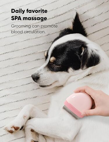 فرشاة العناية بالقطط من GRBISI، فرشاة تنظيف وتدليك الحيوانات الأليفة، فرش ناعمة للكلاب، جيب للقطط، مشط محمول من الفولاذ المقاوم للصدأ، شعر أسنان داخلي وخارجي لإزالة المعطف السفلي المتشابك بسهولة (مرصوف بالحصى، خوخ) in Kuwait