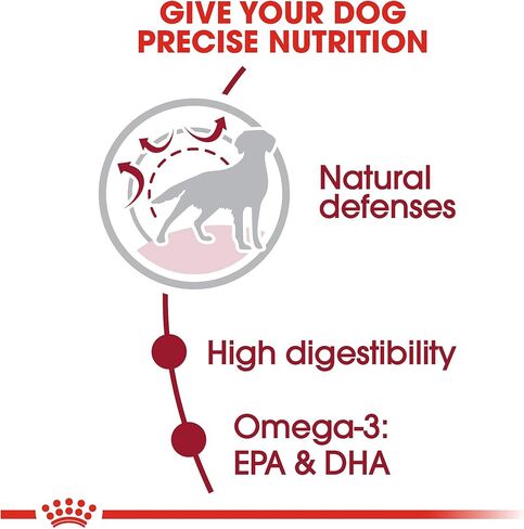 Royal Canin Size Health Nutrition Medium Adult Dry Dog Food, 17 lb Bag in Saudi Arabia