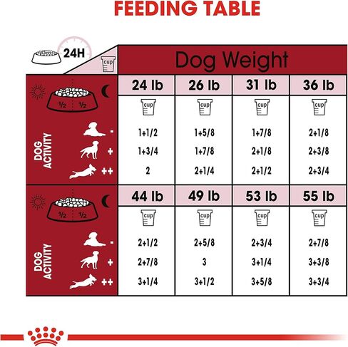 Royal Canin Size Health Nutrition Medium Adult Dry Dog Food, 17 lb Bag in Saudi Arabia