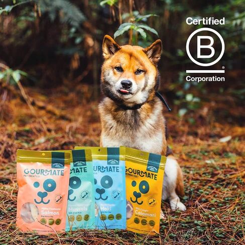 Gourmate Pet Treat Co. كالاماري وايلد كاوت - مكافآت للكلاب من الدرجة البشرية - طبيعية 100%، وجبة خفيفة مجففة بالتجميد مع أوميغا 3 ومصدر للبروتين الخالي من الدهون - 45 جم/1.58 أونصة in Saudi Arabia