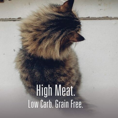Meat Mates, Grain-Free Freeze-Dried Cat Treats, Chicken 1.7oz in Saudi Arabia