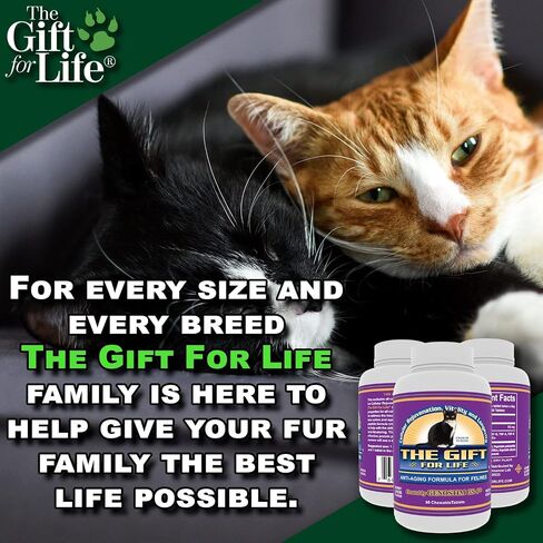 مكملات الورك والمفاصل المتقدمة للقطط من The Gift For Life، 60 قطعة حلوى قابلة للمضغ، كبد البقر الذواقة ذو الطاقة الشبابية، إبطاء الشيخوخة، زيادة الحيوية وطول العمر لجميع السلالات in Kuwait