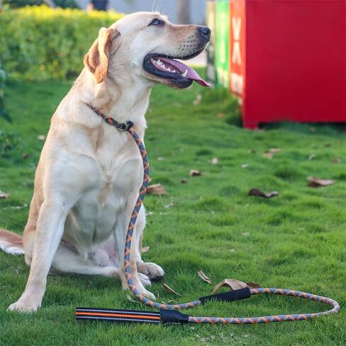 مقود Analovic سهل الانزلاق للكلاب بمقبض ناعم، مقود كلب متين عاكس بطول 6 أقدام، مقود تدريب للكلاب بدون سحب، مقود سهل الاستخدام للكلاب الصغيرة والمتوسطة والكبيرة. (L، الأزرق) in Kuwait