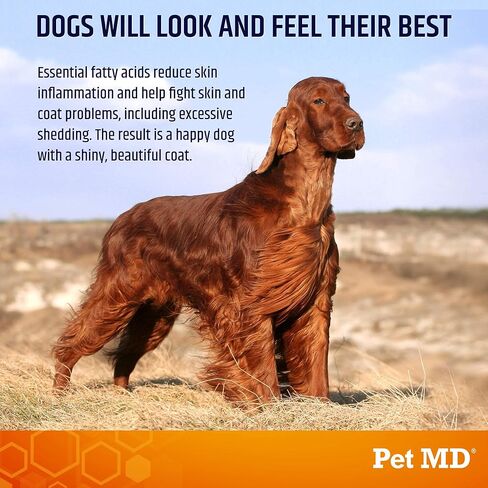 Pet MD Salmon Oil Omega 3 for Dogs - Advanced Allergy & Itch Relief for Dogs - Omega 3 & 6, EPA & DHA, Fish Oil Omega 3 Soft Chews - 120 Count in Saudi Arabia