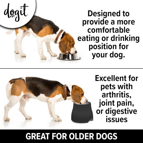 Dogit Elevated Dog Bowl, Blue in Saudi Arabia