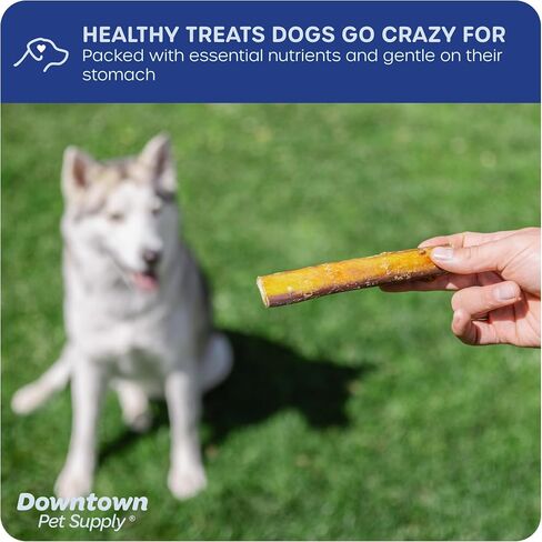 عصي الفتوة من Downtown Pet Supply مقاس 6 بوصات للكلاب الكبيرة، 5 عبوات من الأطعمة السميكة جدًا للمضغ العدواني، مكون واحد، مضغ أسنان طويل الأمد خالي من الجلود الخام للكلاب الكبيرة والمتوسطة in Saudi Arabia
