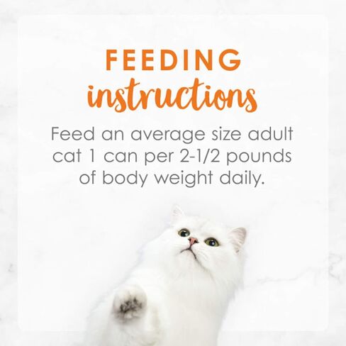 Purina Fancy Feast High Protein Wet Cat Food, Medleys White Meat Chicken With Garden Veggies In Sauce Marron - (24) 3 Oz. Cans in Saudi Arabia
