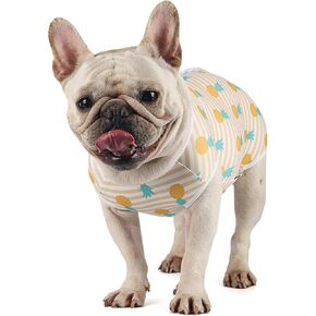 Etdane Dog Recovery Suit for Female Male Dog Onesie for Surgery Dog Surgical Suit After Spayed Dog Neuter Body Suits Fit Small Medium Dog with Pee Hole Pink Star/X-Small