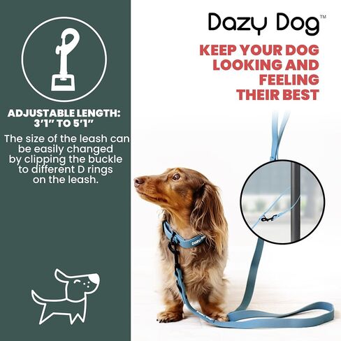 مقود Dazy Dog Dura مزدوج الطول مناسب لجميع الأحوال الجوية - متين - مقاوم للماء - خالٍ من الرائحة - أقوى من الجلد - سهل التنظيف - أداء عالٍ - مصمم (صغير/متوسط، أرجواني) in Saudi Arabia