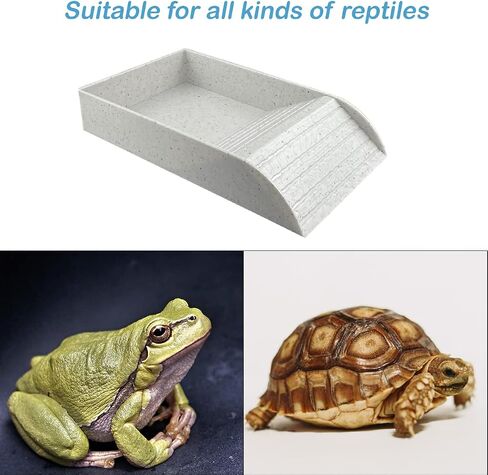 3 PCS Tortoise Food Dish with Ramp and Tortoise Water Bowl,Gray Reptile Water Bowl,Reptile Water Dish Amphibians Habitat,Reptile Water Bowl for Turtles,Horned Frogs and Lizards（Brown） in Saudi Arabia