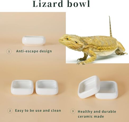 Reptile Food Bowls Ceramic Square Reptile Water Food Dish, Pet Food Bowl for Lizards, Young Bearded Dragons, Gecko Tortoise Spider, Small Snakes (White, Small 1-Pack) in Kuwait