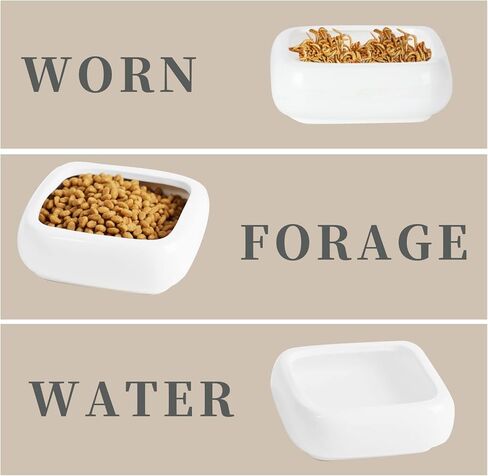 Reptile Food Bowls Ceramic Square Reptile Water Food Dish, Pet Food Bowl for Lizards, Young Bearded Dragons, Gecko Tortoise Spider, Small Snakes (White, Small 1-Pack) in Kuwait