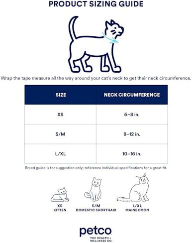 طوق قطة بطباعة وردة وردية من Youly باللون الأسود in Kuwait