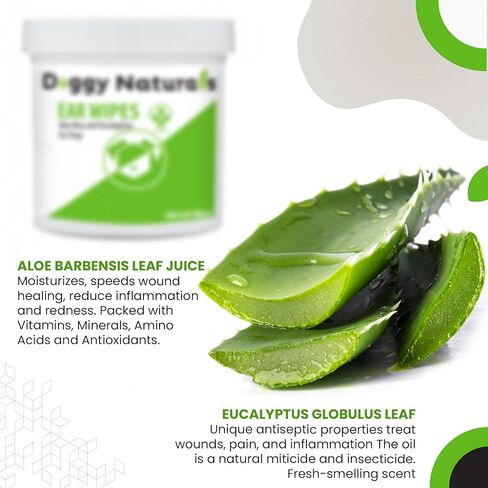 مناديل تنظيف أذن الكلب بالصبار والأوكالبتوس (100 قطعة) - منظف الأذن للكلاب لوقف خدش الأذن والالتهابات (صنع في الولايات المتحدة الأمريكية) (مناديل طبية، 100 قيراط مناديل الصبار والأوكالبتوس) in Kuwait