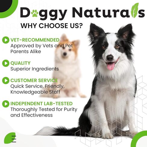 مناديل تنظيف أذن الكلب بالصبار والأوكالبتوس (100 قطعة) - منظف الأذن للكلاب لوقف خدش الأذن والالتهابات (صنع في الولايات المتحدة الأمريكية) (مناديل طبية، 100 قيراط مناديل الصبار والأوكالبتوس) in Kuwait