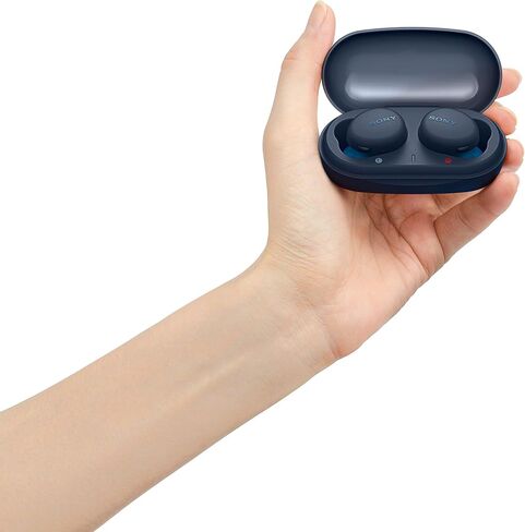 Sony WF-XB700 EXTRA BASS True Wireless Earbuds Headset/Headphones with Mic for Phone Call Bluetooth Technology, Black in Kuwait