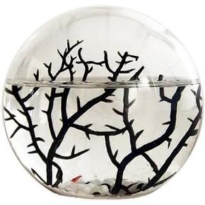 Eccosmo- Closed Ecosystem, Small Round Sphere 4" in Kuwait