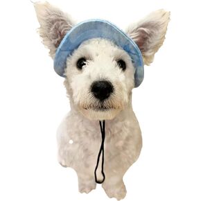 Pet Hat with Ear Holes Sunscreen Baseball Cap for Medium Small Dogs Summer Dog Cap Sun Hat Outdoor Hiking Hat Pet Product (Blue, Small)