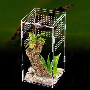 Reptile Terrarium Mini Acrylic Tank, 9.8x5.9x5.9inch Jumping Spider Enclosure Tarantula Enclosure Insects Feeding Tank Full View for Reptiles Mantis Lizard Habitat Snake Gecko in Saudi Arabia