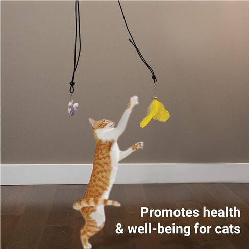 SVD.PET لعبة القط المعلقة على الباب، سلك مرن تفاعلي قابل للاستبدال، لعبة القط الفأر النطاط، لعبة القط المعلقة لتخفيف التوتر مع حبل بنجي in Kuwait