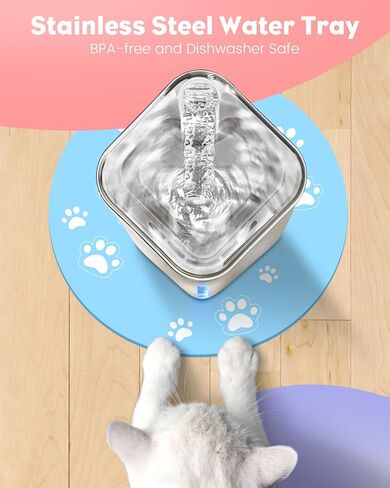 نافورة مياه للقطط من بيتنيمال، 74 أونصة/2.2 لتر 304 من الفولاذ المقاوم للصدأ للقطط مع مستوى الماء، نافورة مياه أوتوماتيكية هادئة للحيوانات الأليفة مع حصيرة من السيليكون، نافورة للحيوانات الأليفة للقطط والكلاب والحيوانات الأليفة المتعددة in Kuwait