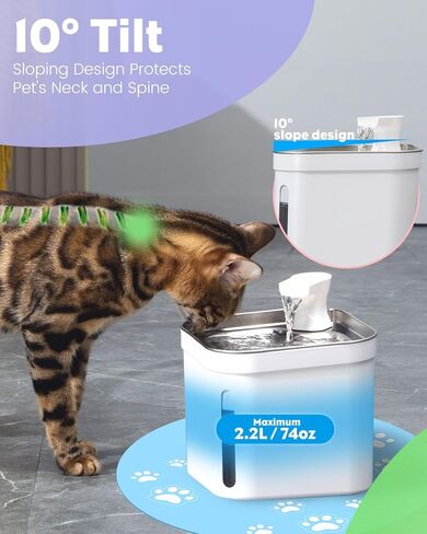 نافورة مياه للقطط من بيتنيمال، 74 أونصة/2.2 لتر 304 من الفولاذ المقاوم للصدأ للقطط مع مستوى الماء، نافورة مياه أوتوماتيكية هادئة للحيوانات الأليفة مع حصيرة من السيليكون، نافورة للحيوانات الأليفة للقطط والكلاب والحيوانات الأليفة المتعددة in Kuwait