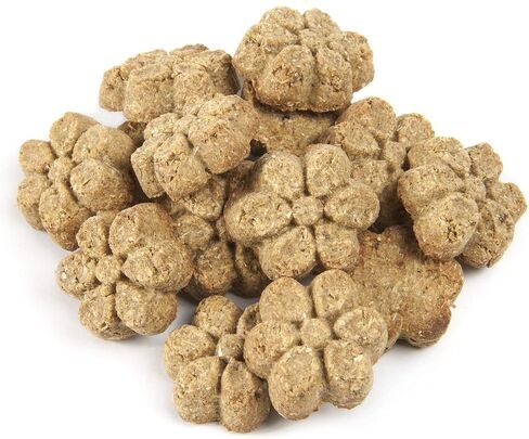 مجموعة متنوعة من حلوى الكلاب المخبوزة من Fruitables 4 عبوات - 1 قرع وتفاحة - 1 قرع وموز - 1 قرع وتوت أزرق - 1 قرع وتوت بري - 7 أونصة لكل منهما in Kuwait