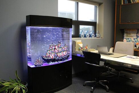 Penn-Plax Water World Luxury Large Cylinder Acrylic Aquarium with Built-in Stand and Storage Top (LM11) – 360° View – Great for Freshwater and Saltwater Fish – 53 Gallons in Saudi Arabia