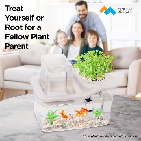 تصميم مدروس صغير لنظام زراعة أكوابونيك داخلي للأسماك - مجموعة النظام البيئي أعلى الطاولة للنباتات المائية والأسماك - خزان أسماك أكوابونيك ذاتي السقي - حوض أسماك النظام البيئي in Kuwait