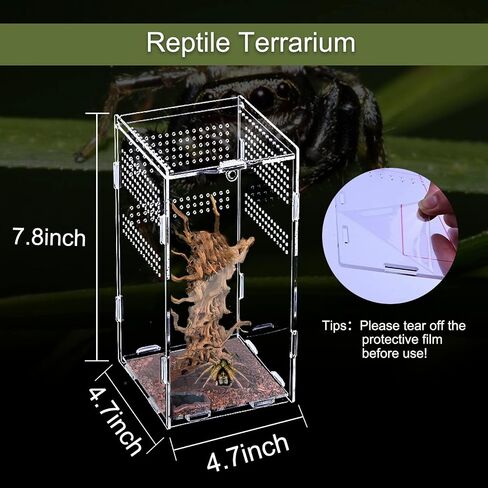 Reptile Terrarium Mini Acrylic Tank, 9.8x5.9x5.9inch Jumping Spider Enclosure Tarantula Enclosure Insects Feeding Tank Full View for Reptiles Mantis Lizard Habitat Snake Gecko in Saudi Arabia