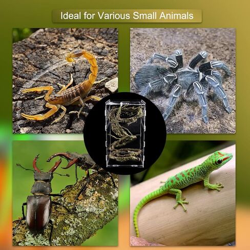 Reptile Terrarium Mini Acrylic Tank, 9.8x5.9x5.9inch Jumping Spider Enclosure Tarantula Enclosure Insects Feeding Tank Full View for Reptiles Mantis Lizard Habitat Snake Gecko in Saudi Arabia